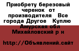 Приобрету березовый черенок  от производителя - Все города Другое » Куплю   . Амурская обл.,Михайловский р-н